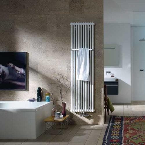 Zehnder Charleston Bar (Spa) 2 Column Radiator