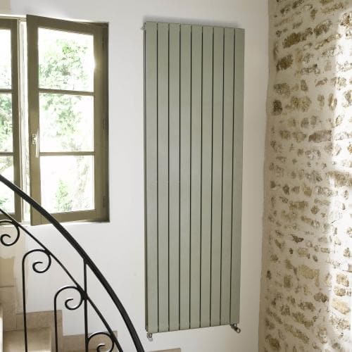 Zehnder Roda Vertical Double Panel
