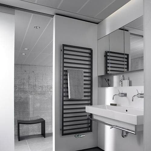 Zehnder Subway Bathroom Radiator
